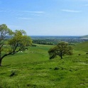 The South Downs Steyning Malcolm Oakley